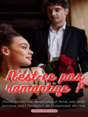 cover image of N'est-ce pas romantiqe ?